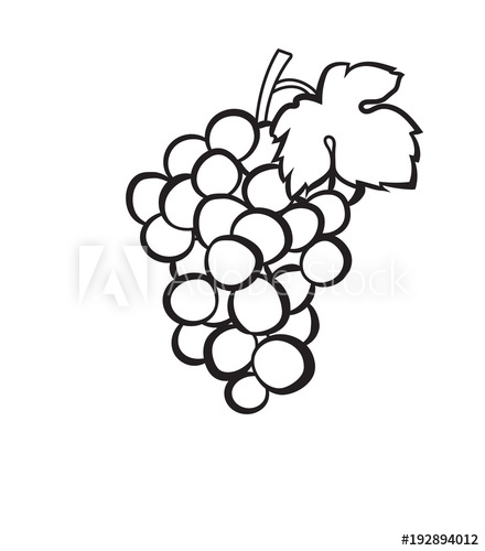 440x500 Cluster Of Grapes With Leaf Sketch Icon For Web, Mobile