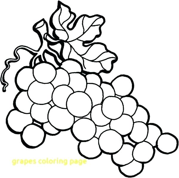 600x597 Drawing Grapes Coloring Pages