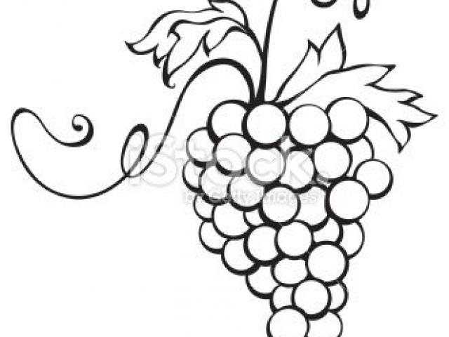 640x480 Free Grapes Clipart, Download Free Clip Art