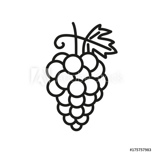 500x500 Grapes Fruit Line Vector Art