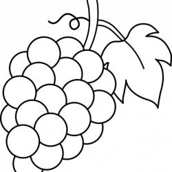 Grapes Line Drawing | Free download on ClipArtMag