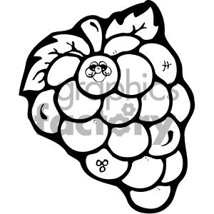 300x300 Black And White Grapes Clipart Clipart Royalty Free Clipart