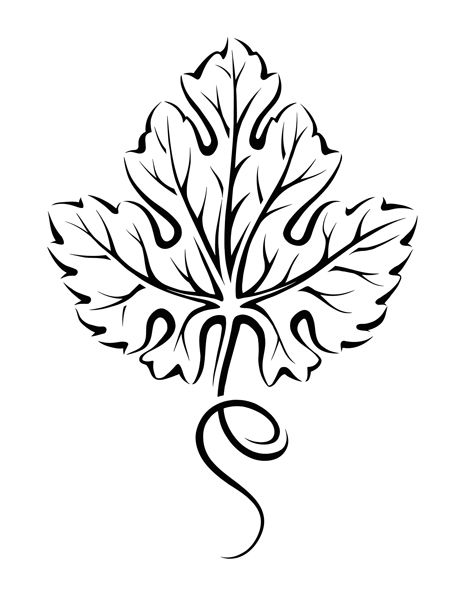 467x600 Clipart Of Birds And Grapes