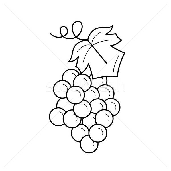 600x600 bunch of grapes vector line icon vector illustration andrei