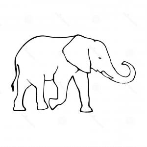 300x300 Stock Illustration Elephant Outline Drawing Graphic Design Image