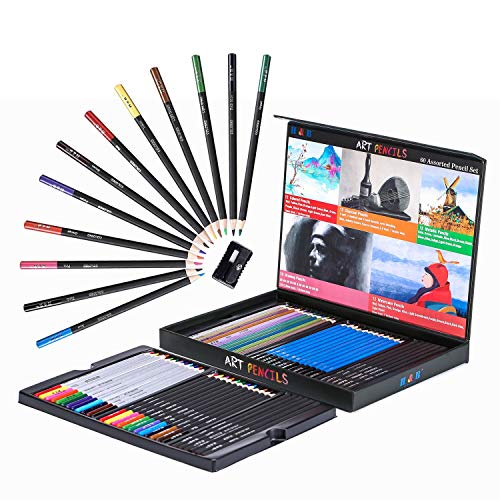 500x500 hampb professional art sketching pencils set drawing pencils