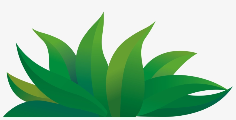 820x417 Green Cartoon Drawing