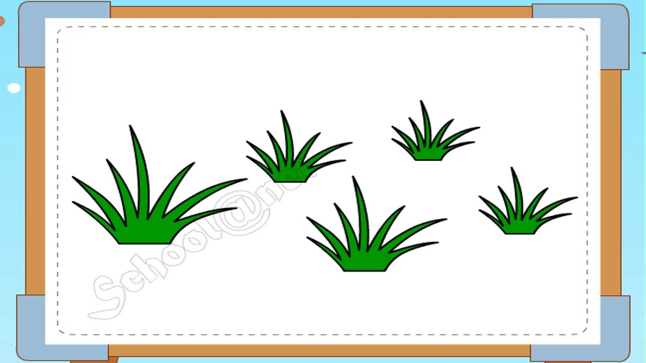 1280x720 How To Draw A Tree For Kids How To Draw Grass, Cactus
