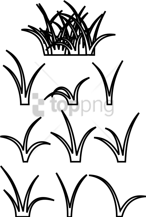 480x716 Patch Of Grass Drawing Png Image With Transparent Background Toppng