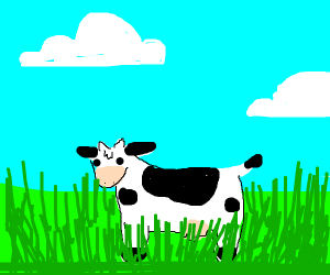 300x250 Cow
