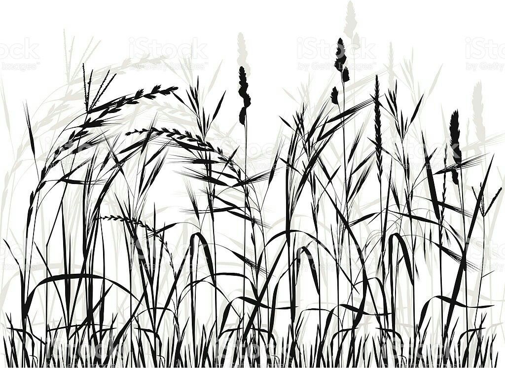 1024x746 Silhouettes Of Grass, Hand Drawn Vector Illustration Check This