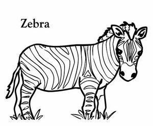300x247 Top Grass Coloring Pages