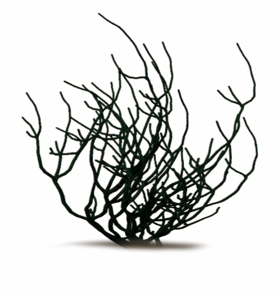 920x955 Clipart Of Res, Anniversary January And Annaprashan