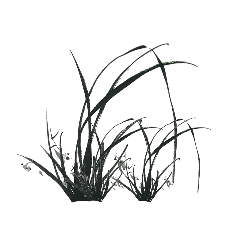 750x750 Collection Of Free Grass Drawing Black And White Download On Ui Ex