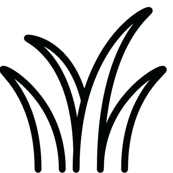 600x600 How To Draw Grass For Kids Grass Drawing Cute Home Improvement