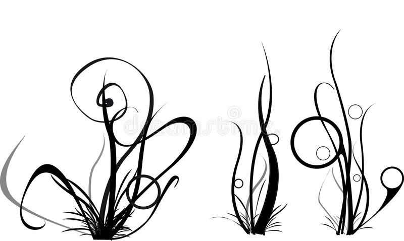 800x478 Image Result For Sea Grass Line Drawing Mermaids And Sea Animals