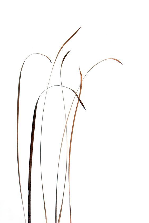 564x846 grass drawings, watercolor paintings, art