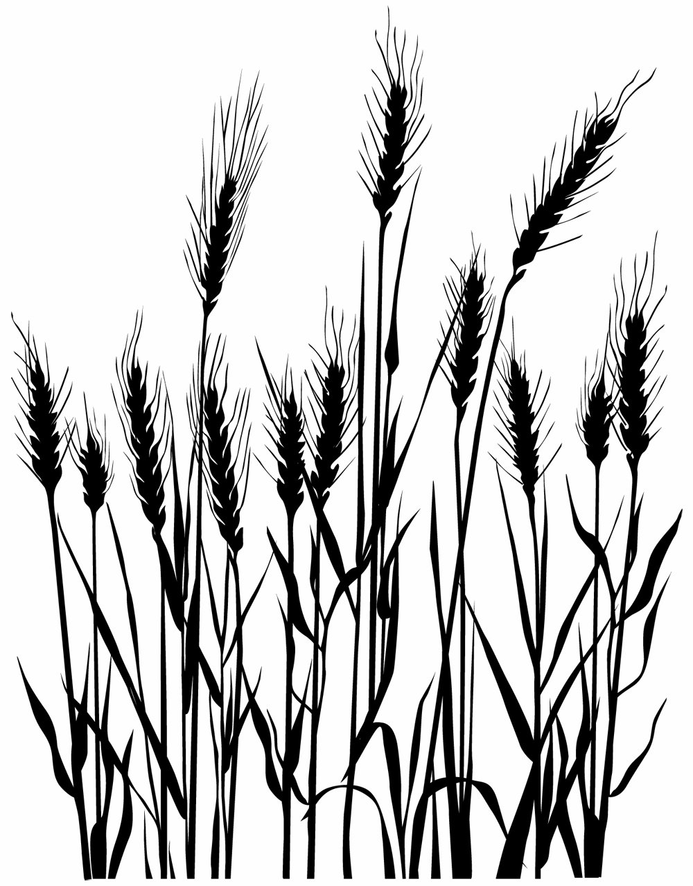 1000x1278 Hero Arts Woodblock Stamp Silhouette Grass Arts