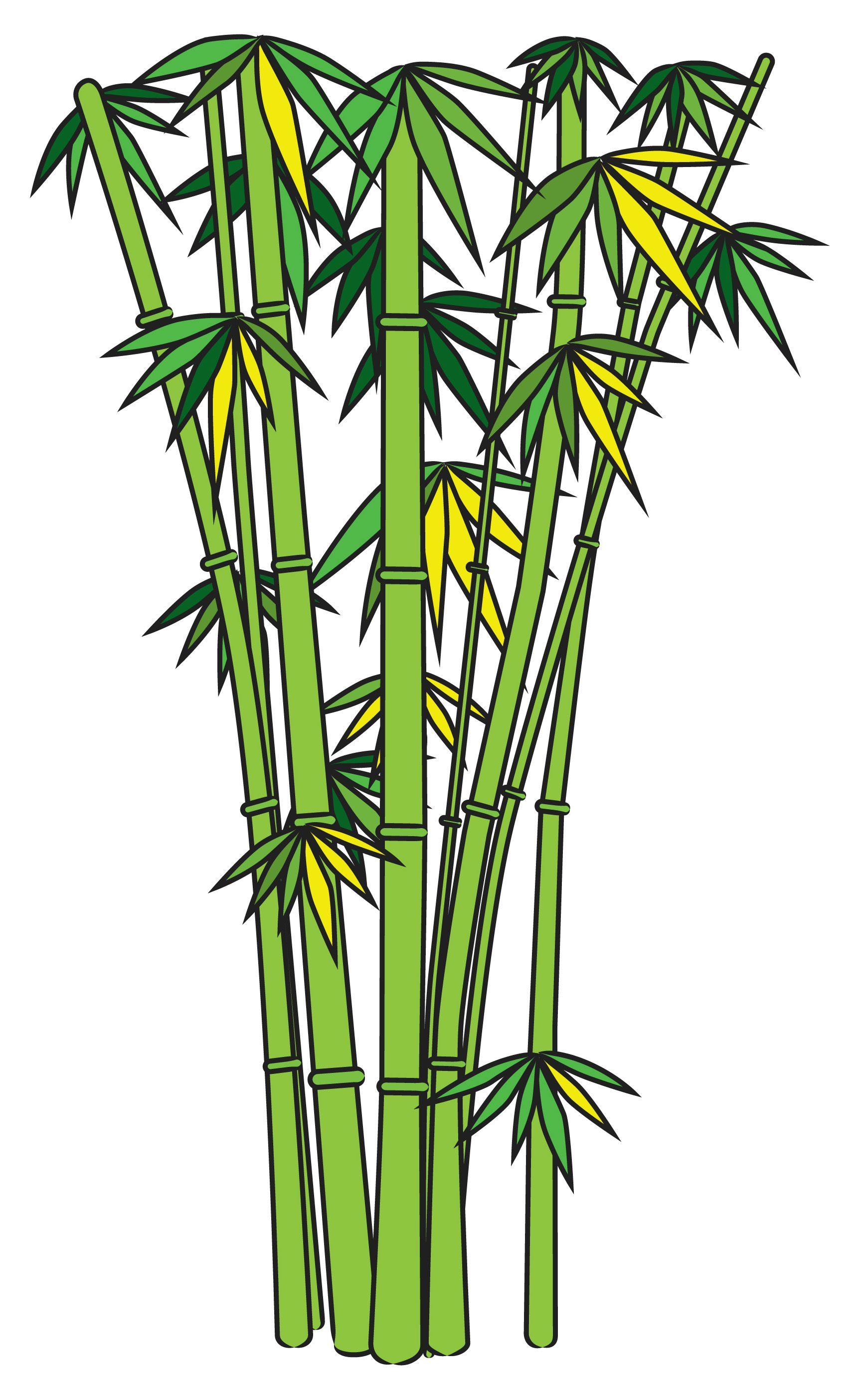 1741x2802 bamboo tree pencil sketch and draw bamboo creative