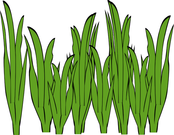 600x464 Collection Of Free River Drawing Grass Download On Ui Ex