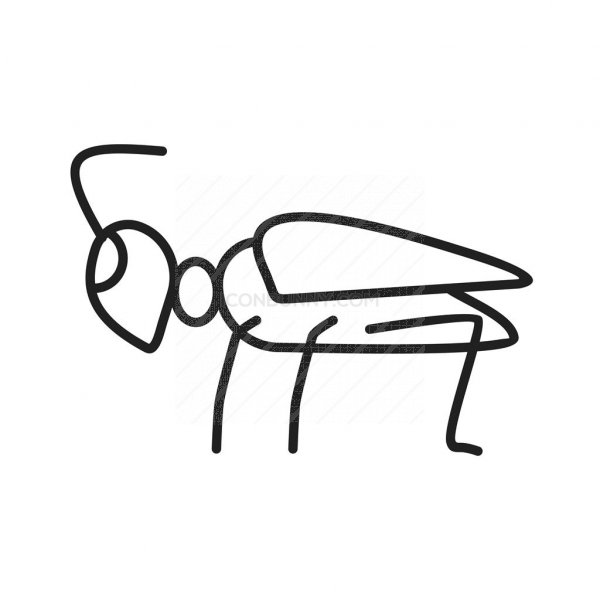 600x600 Grasshopper Line Icon