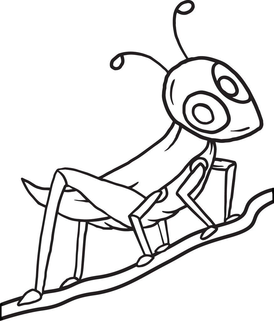 874x1024 Grasshopper Drawing Free Download