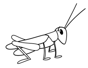 288x223 Collection Of Free Grasshopper Clipart Sketch Bean Clipart