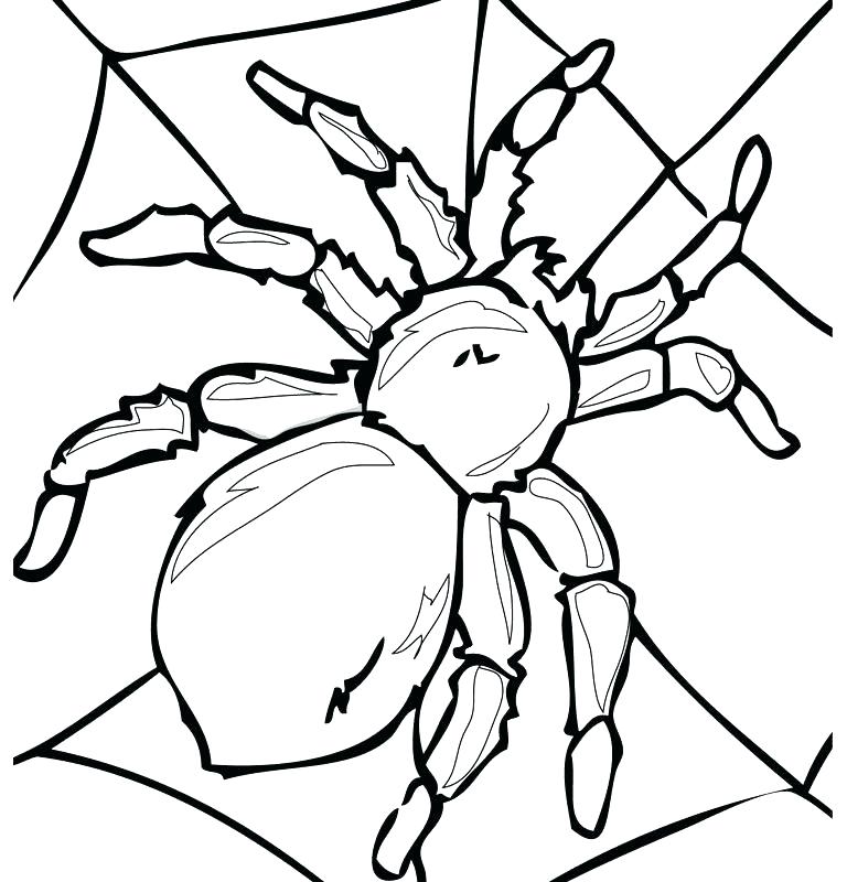 768x800 Garden Insects Colouring Pages Grasshopper Coloring Pages Unicorn