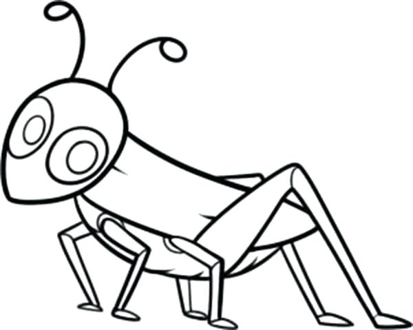 600x479 Grasshopper Coloring Pages Coloring
