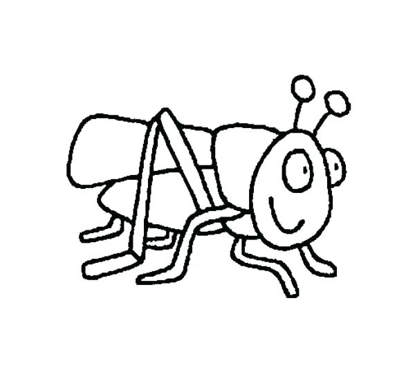 600x558 Ant And Grasshopper Coloring Pages