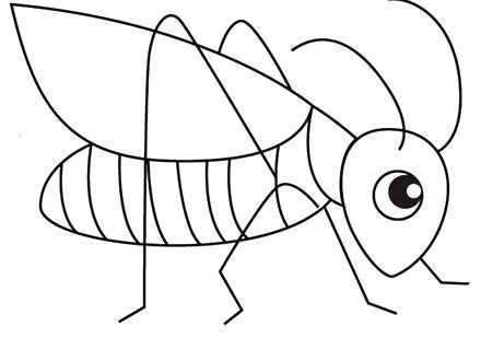 440x330 Grasshopper Coloring