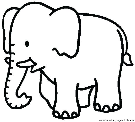 556x500 color pages of animals animals coloring pages animals coloring