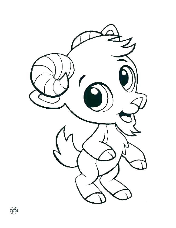 741x960 Draw So Cute Animals Coloring Pages Zoo Free Simple