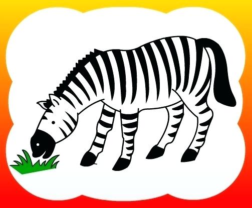 503x415 How To Draw Zebras How To Draw A Zebra Step