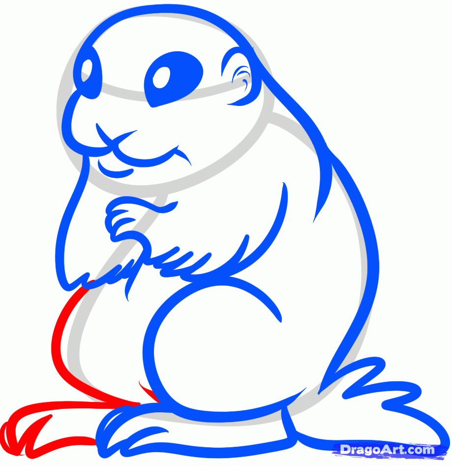 919x946 Step How To Draw A Prairie Dog