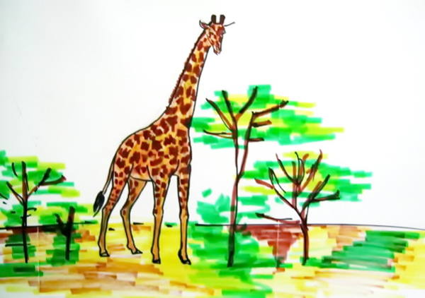 600x422 African Animals Coloring Pages Drawing And Crafts