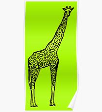 210x230 Grassland Drawing Posters Redbubble