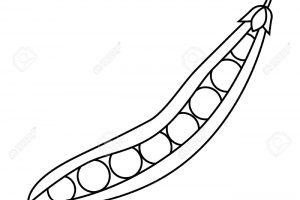 300x200 Grassland Habitat Clipart Clipart Portal