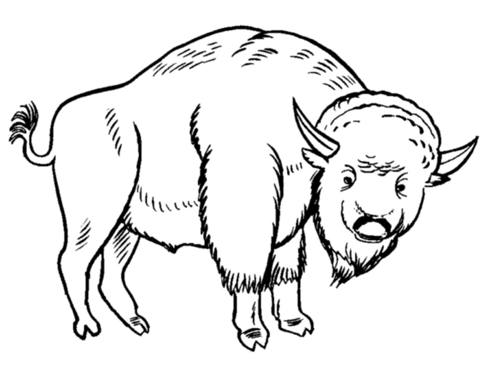 1600x1200 Prairie Animals Coloring Pages
