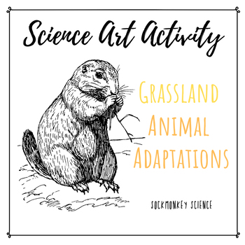350x350 Science + Art Activity Structure And Function {grassland Animal