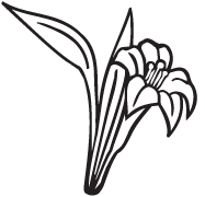 187x180 Grave Clipart Flower Drawing