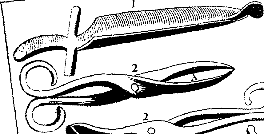 858x436 Filea Compleat Treatise Of The Stone And Gravel Fleuron