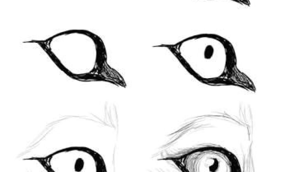 1024x600 Drawing Refrences Help