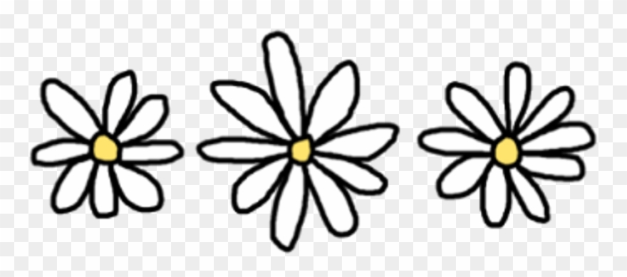 880x389 Flower Drawing Png Tumblr
