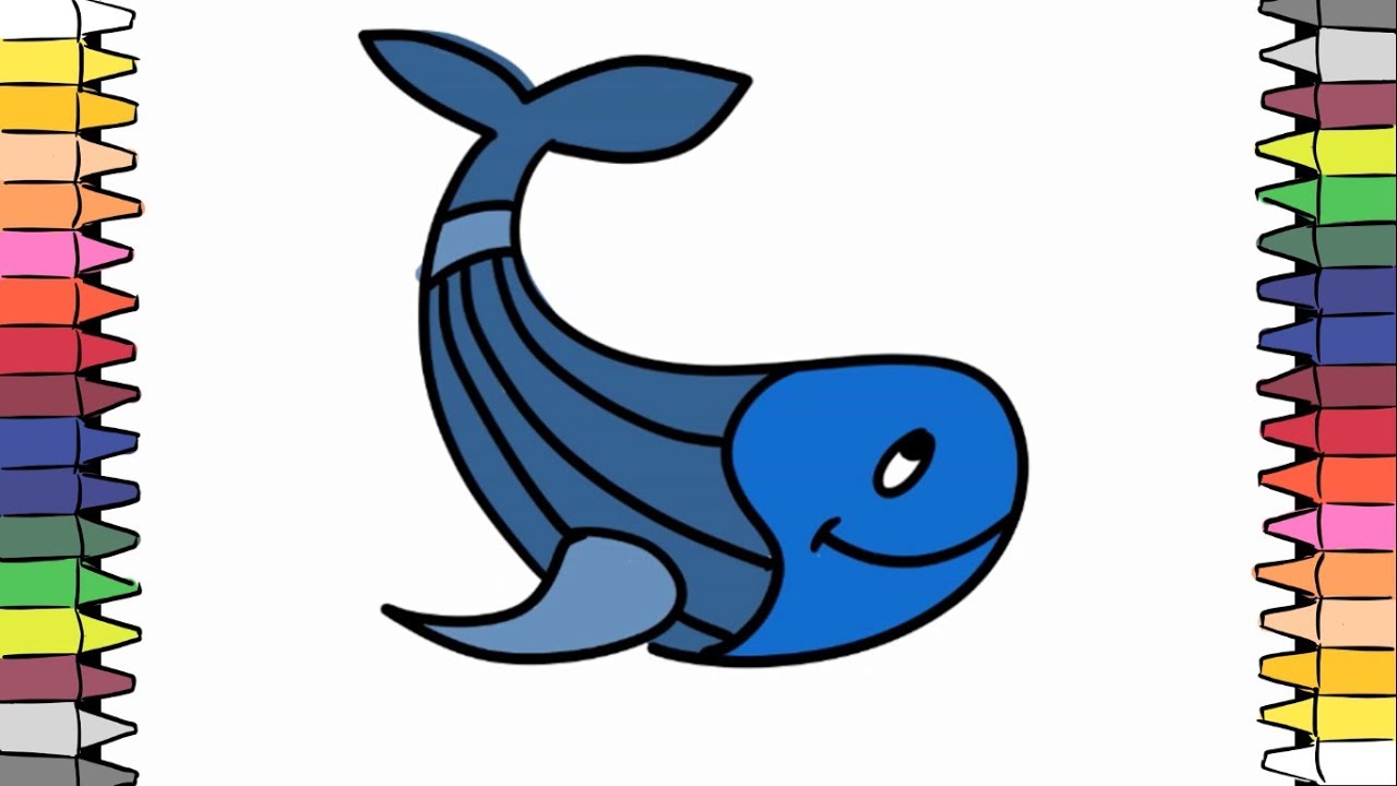 1280x720 How To Draw A Gray Whale Draw And Color Best Kids Channel