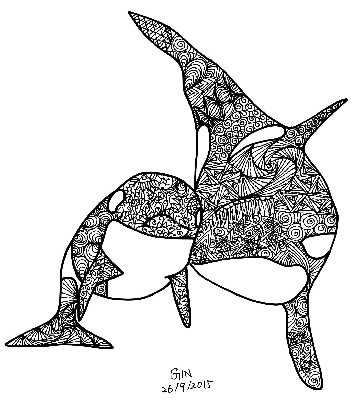 Gray Whale Drawing Free download on ClipArtMag