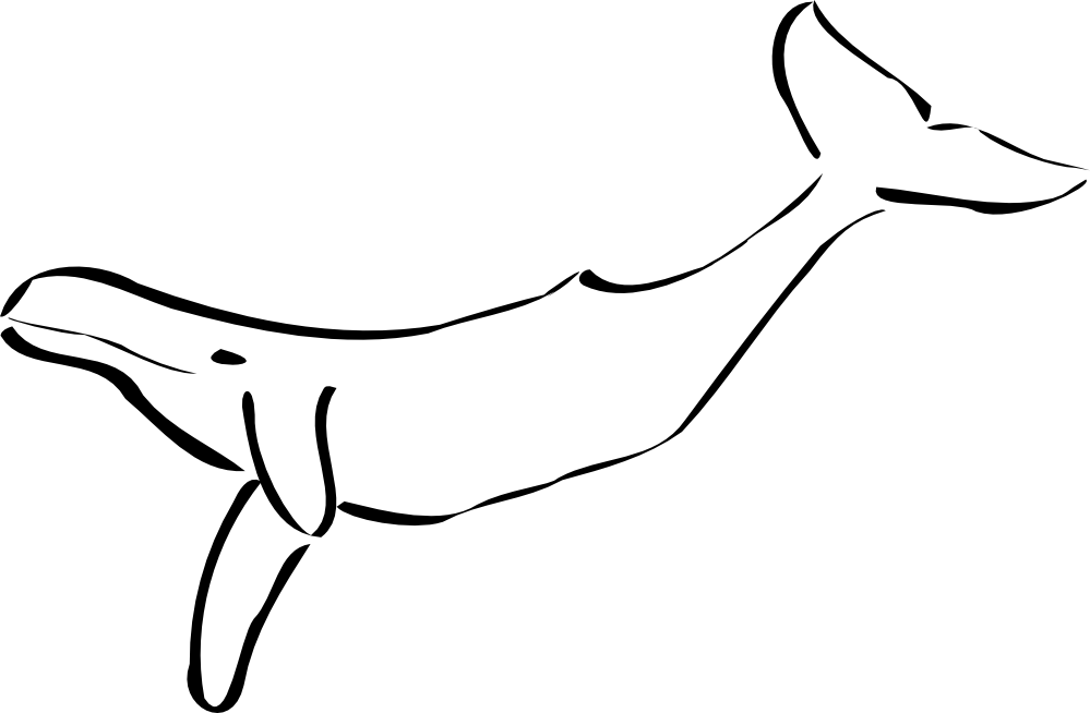 999x654 Blue Whale Clip Art