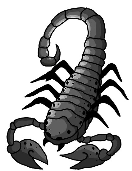 425x550 Grayscale Scorpion Posters