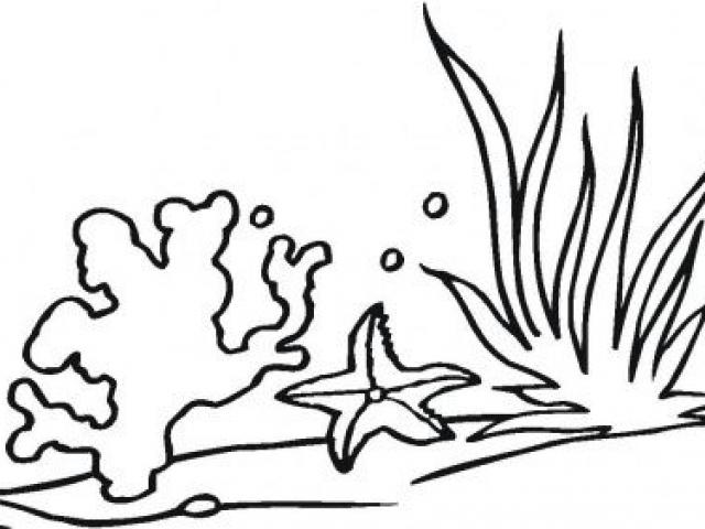640x480 Coral Reef Clipart Free Clip Art Stock Illustrations