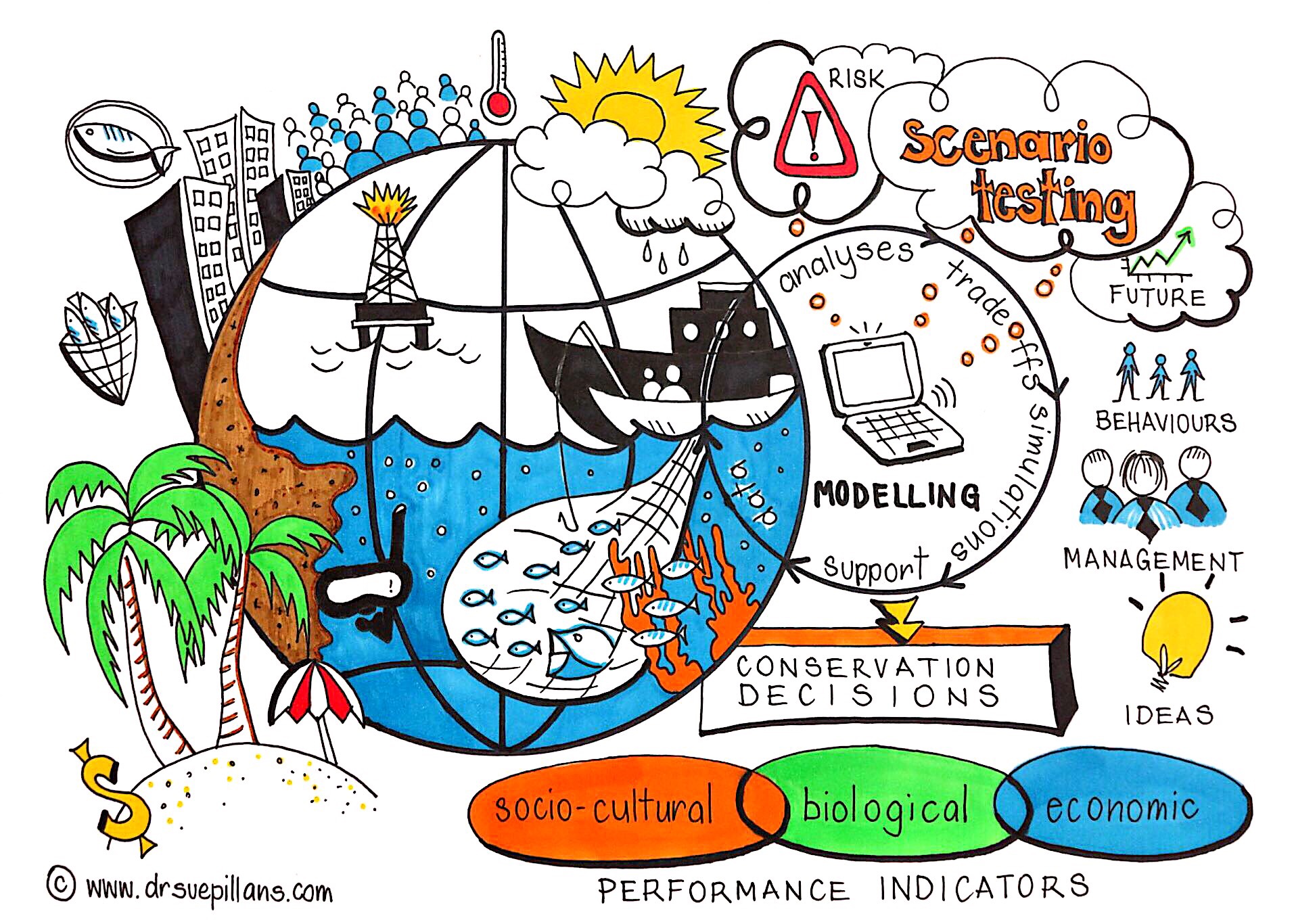 1913x1366 Infographics Illustrations Dr Sue Pillans